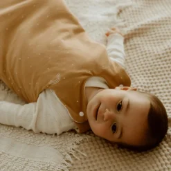 Online Gigoteuse 4 saisons royale (6-18 mois) Gigoteuse Mi-Saison / 4 Saisons