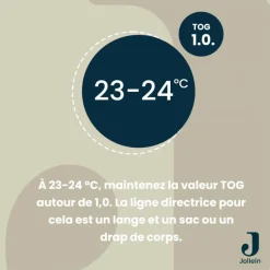 Outlet Gigoteuse 4 saisons Teddy Bear TOG 0,5-3 (0-3 mois) Gigoteuse Mi-Saison / 4 Saisons