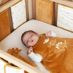 Trois Kilos Sept Gigoteuse Diplododo TOG 2,5 (0-6 mois)