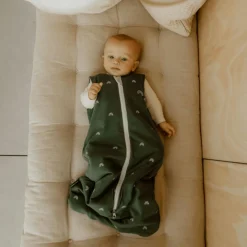 Online Gigoteuse réversible 4 saisons verte écureuils 0-6 mois Gigoteuse Mi-Saison / 4 Saisons