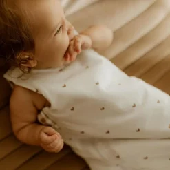 Hot Gigoteuse réversible 4 saisons vichy (6-18 mois) Gigoteuse Mi-Saison / 4 Saisons