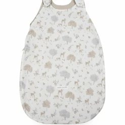 Pasito a pasito Gigoteuse été Nara