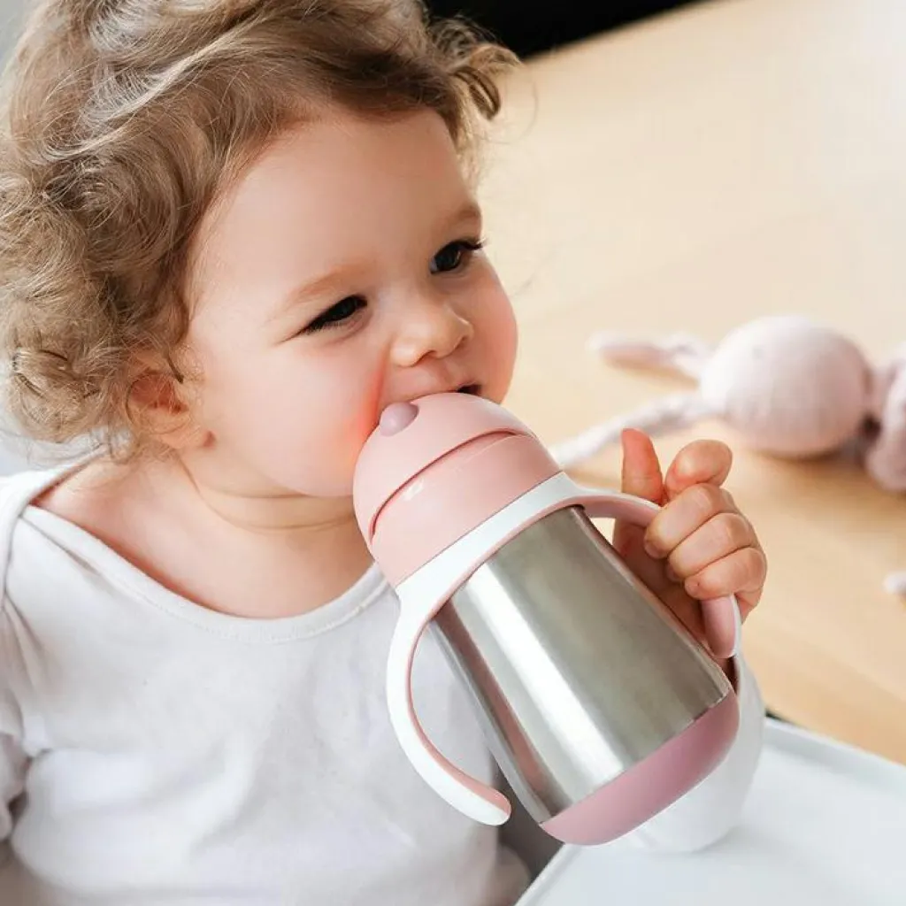 Gourde à paille en inox Old pink (250 ml) Enfant Gourde Enfant