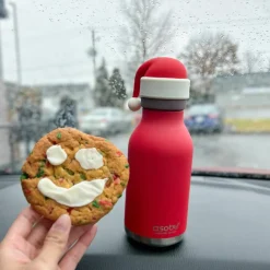 Gourde isotherme Bestie Père Noël (460 ml) Enfant Gourde Enfant