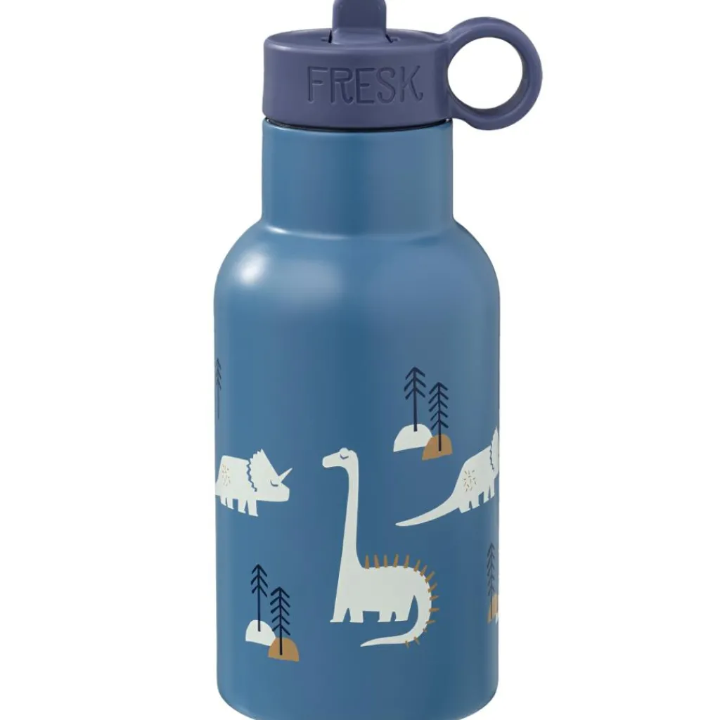 Gourde isotherme Dino (350 ml) Enfant Gourde Enfant