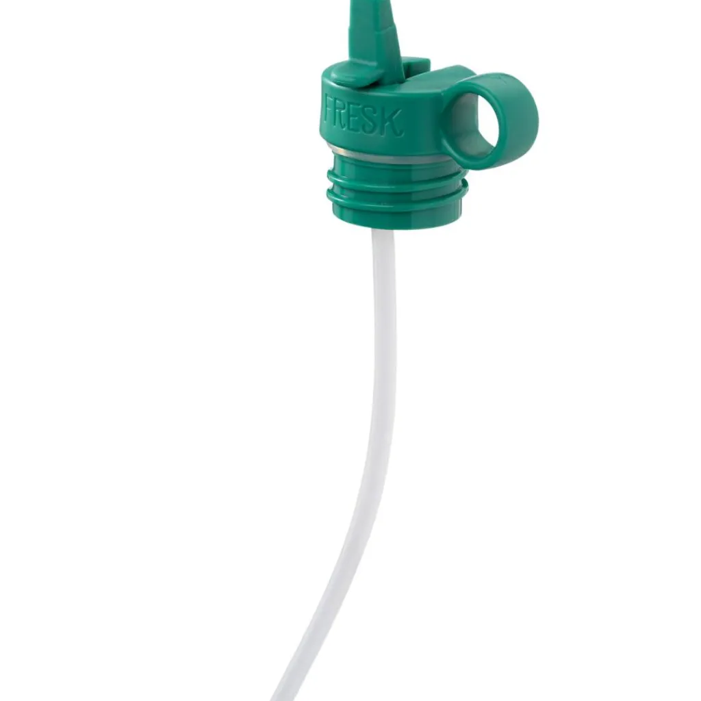 Gourde isotherme Dino (350 ml) Enfant Gourde Enfant