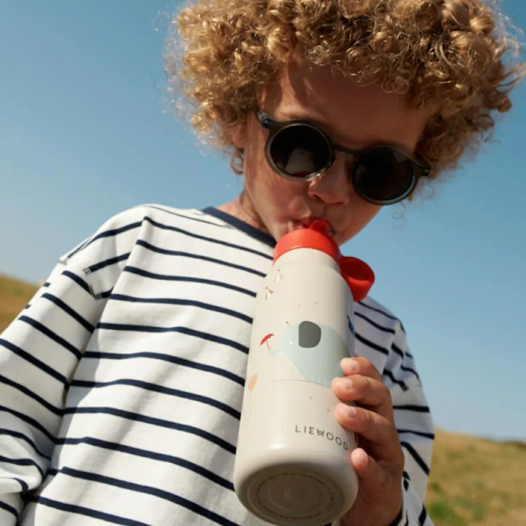 Online Gourde isotherme Falk Circus (350 ml) Enfant Gourde Enfant