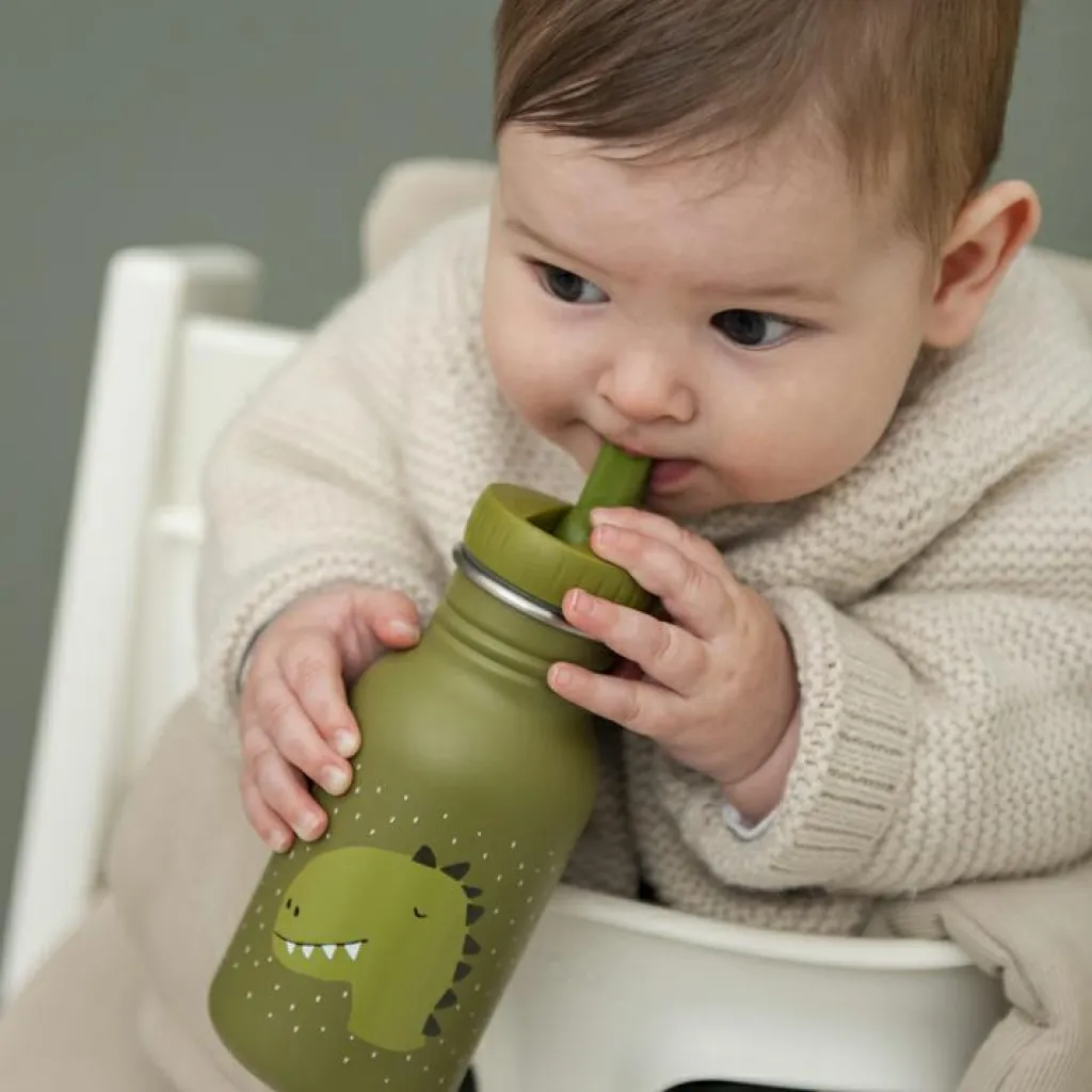 Enfant Trixie Gourde Mr. Dino (350 ml)