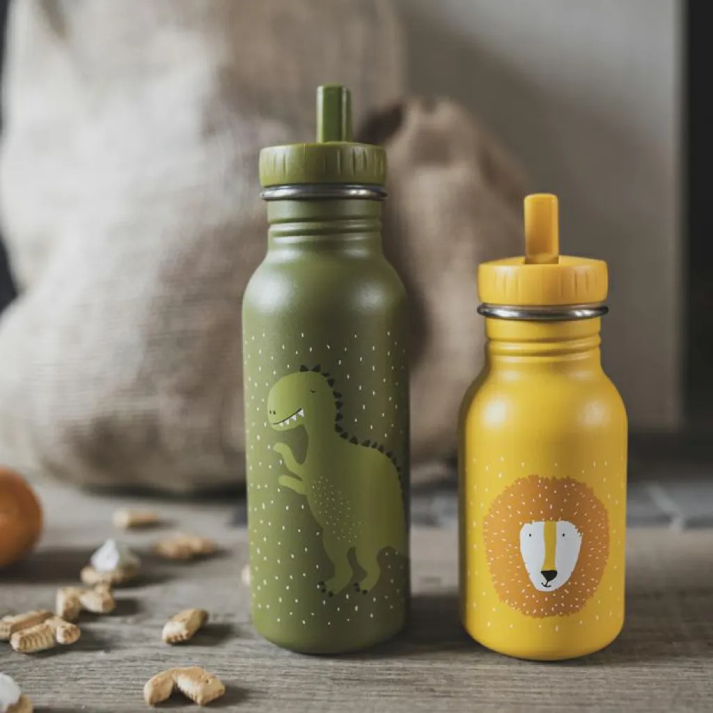 Enfant Trixie Gourde Mr. Lion (350 ml)