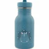 Discount Gourde Mr. Triceratops (350 ml) Enfant Gourde Enfant