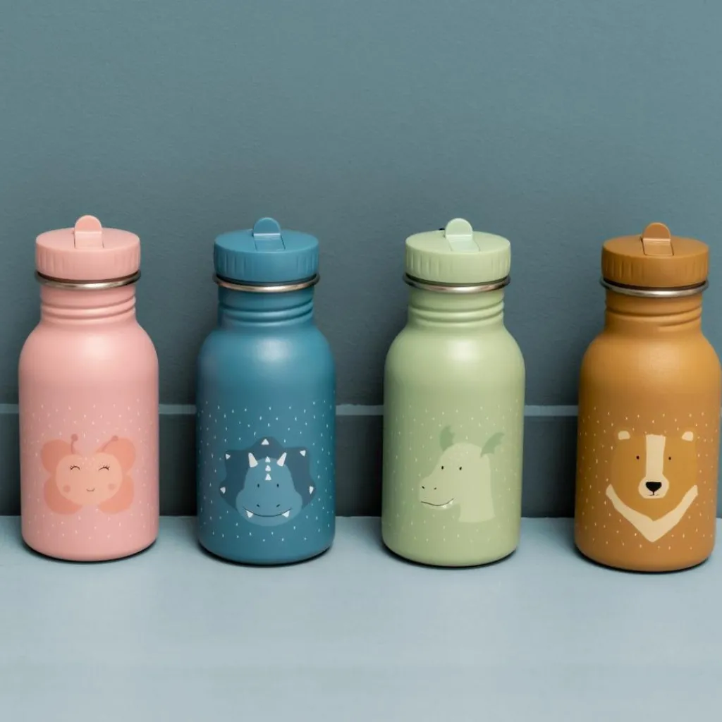 Discount Gourde Mr. Triceratops (350 ml) Enfant Gourde Enfant