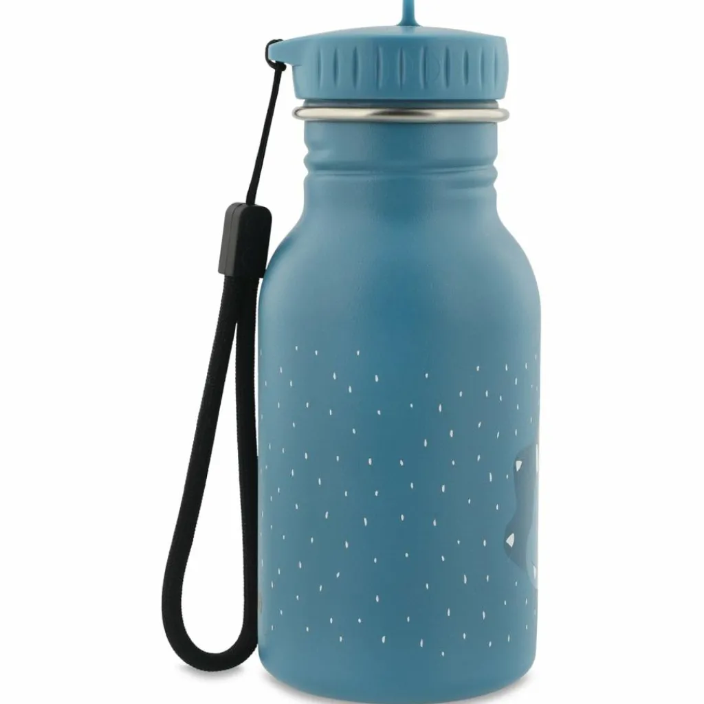 Discount Gourde Mr. Triceratops (350 ml) Enfant Gourde Enfant