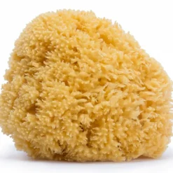 Suavinex Grande éponge en fibre naturelle