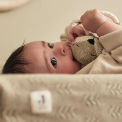 Jollein Hochet anneau de dentition Fox