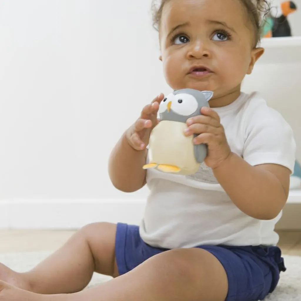 Little Big Friends Hochet Colette la Chouette Les Petits Animaux