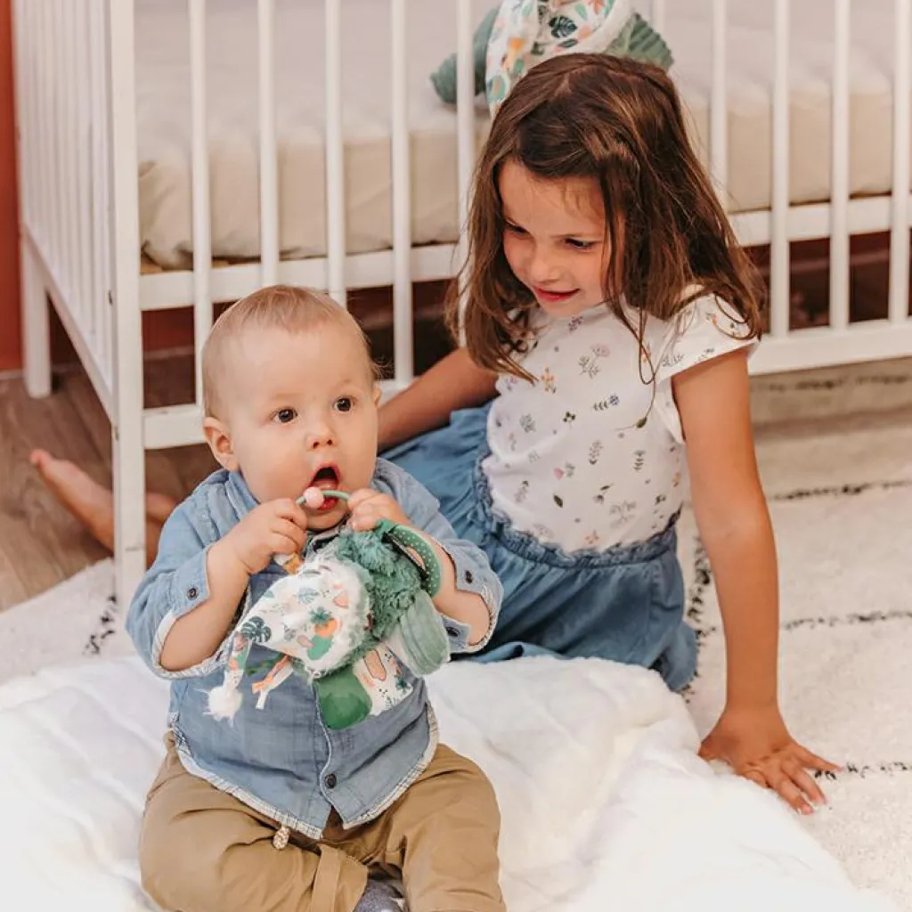 Les Déglingos Hochet d'activités Chillos le Paresseux (28 cm)