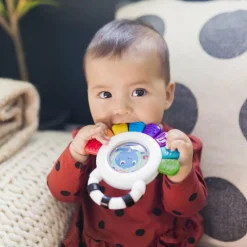 Baby Einstein Hochet et anneau de dentition réfrigérant Opus le Poulpe