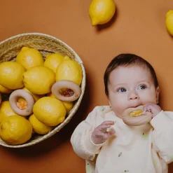 New Hochet sensoriel Sensory Donut citrons Bouteille Sensorielle