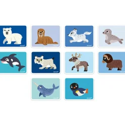 Janod Jeu magnétique Magneti'book Animaux polaires