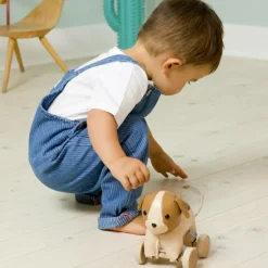 Sale Jouet à tirer Adrien le Chien Jouet À Tirer / Pousser
