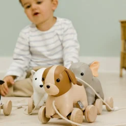 Sale Jouet à tirer Adrien le Chien Jouet À Tirer / Pousser