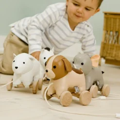 Sale Jouet à tirer Adrien le Chien Jouet À Tirer / Pousser