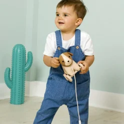 Sale Jouet à tirer Adrien le Chien Jouet À Tirer / Pousser