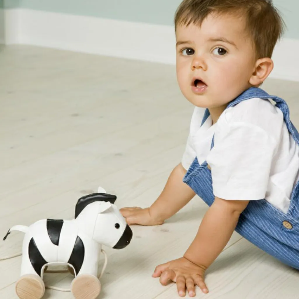 Little Big Friends Jouet à tirer Robert le Zèbre