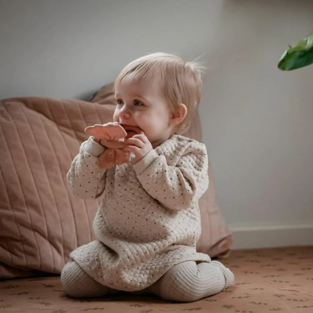 Best Jouet de dentition Butterfly Jouet / Anneau De Dentition