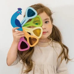 Tender Leaf Jouet éducatif Couleurs de paon