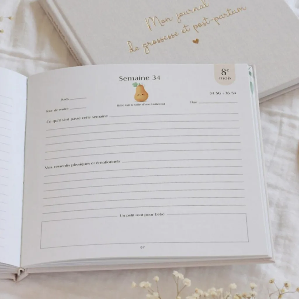 Zü Journal de grossesse et post-partum
