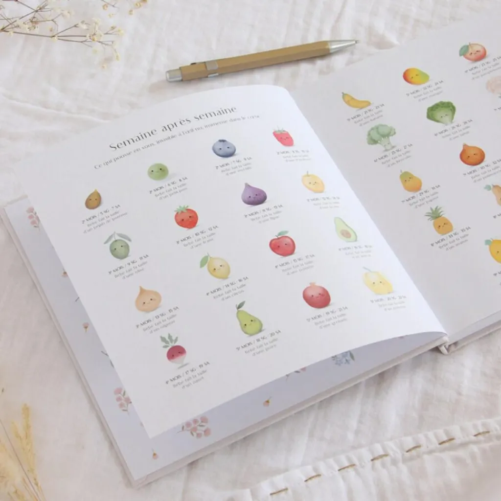 Zü Journal de grossesse et post-partum