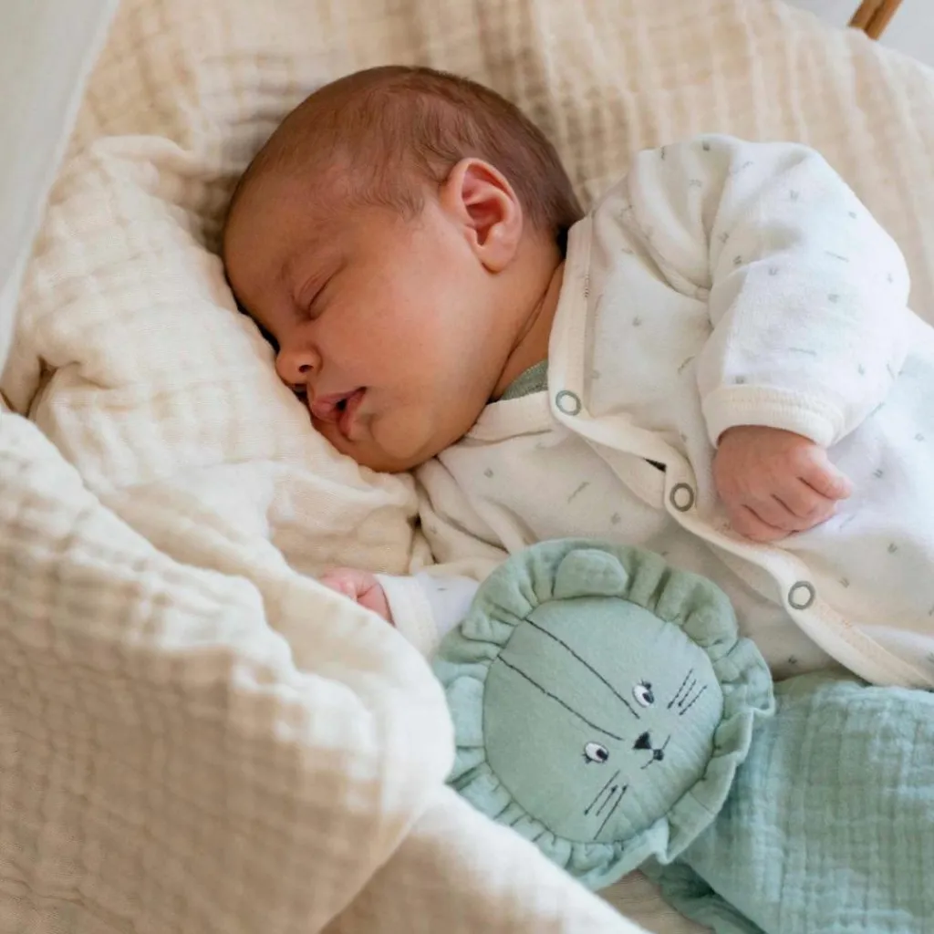 Trois Kilos Sept Kit de naissance Sauge 6 pièces (1 mois)