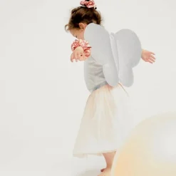 Hot Kit papillon Rose et Argent (3-8 ans) Enfant Déguisement Enfant