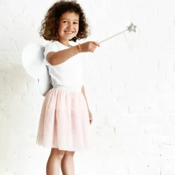 Hot Kit papillon Rose et Argent (3-8 ans) Enfant Déguisement Enfant