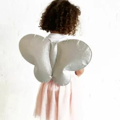 Hot Kit papillon Rose et Argent (3-8 ans) Enfant Déguisement Enfant