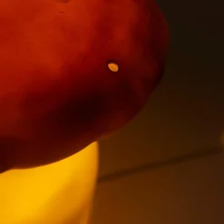 Egmont Toys Lampe veilleuse champignon Terra