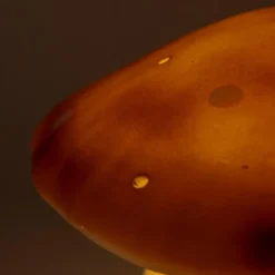 Egmont Toys Lampe veilleuse champignon Chocolat