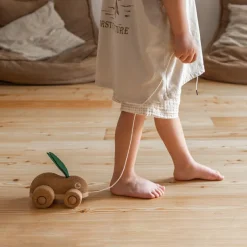 Discount Lapin à tirer en liège Jouet À Tirer / Pousser