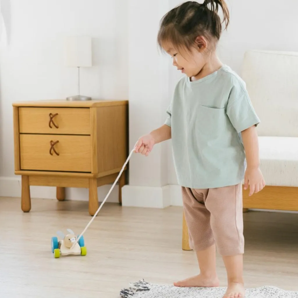 Plan Toys Lapin sautillant à tirer