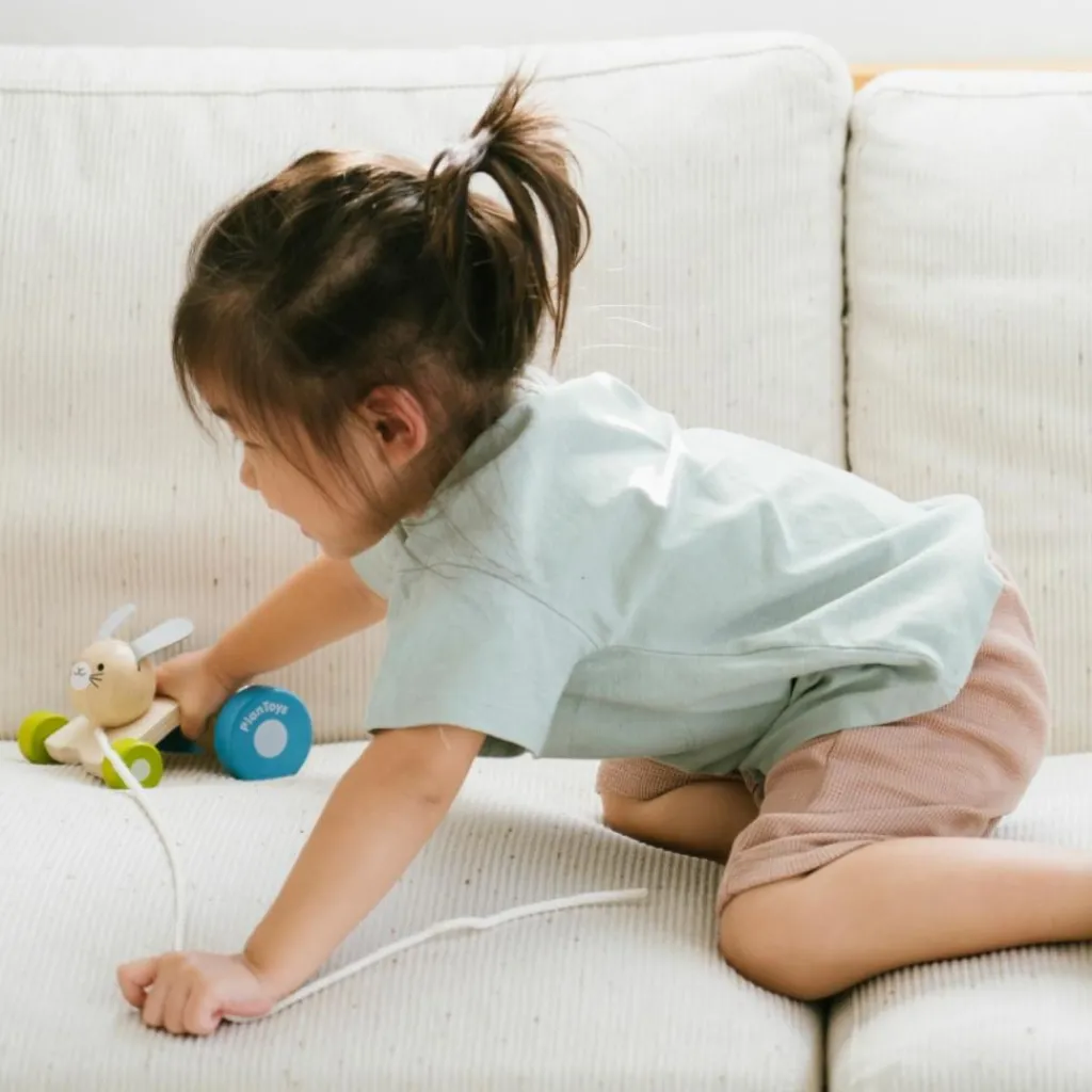 Plan Toys Lapin sautillant à tirer