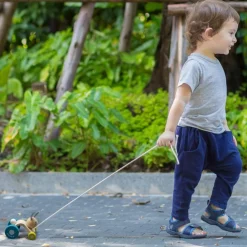 Plan Toys Lapin sautillant à tirer