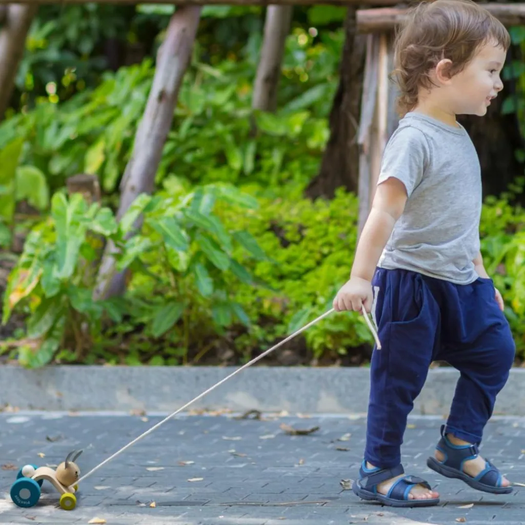 Plan Toys Lapin sautillant à tirer