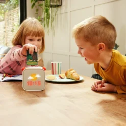 Online Lecteur audio Player (3ème génération) Conteuse