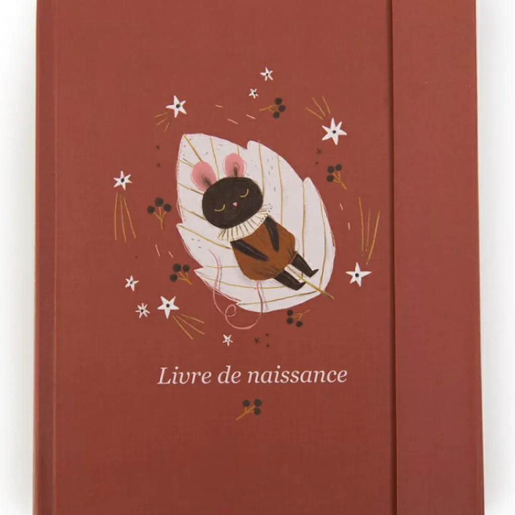 Best Livre de naissance Après la pluie Livre De Naissance / Album Photo