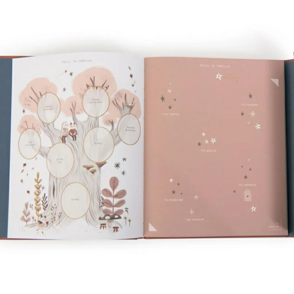 Best Livre de naissance Après la pluie Livre De Naissance / Album Photo