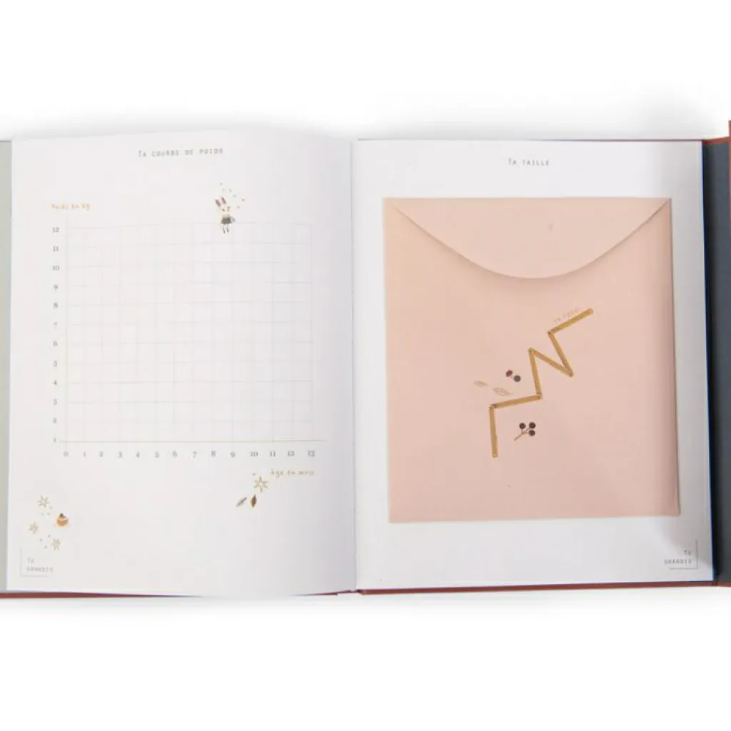 Best Livre de naissance Après la pluie Livre De Naissance / Album Photo