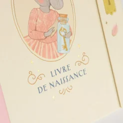 Moulin Roty Livre de naissance La petite école de danse