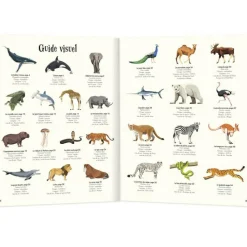 Enfant Auzou Editions Livre L'anthologie illustrée des animaux fascinants