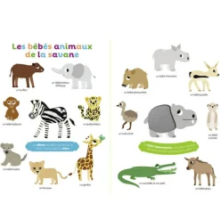 Online Livre Mes premiers bébés animaux à toucher Imagier